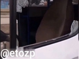 В Запорожье пассажиры автобуса избили водителя