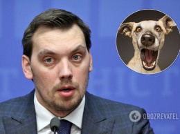 «Собаку уже продали»: украинцы разнесли идею Гончарука продавать наркотики