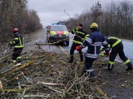 Сильный ветер валит деревья и срывает крыши домов: Украину накрыла непогода