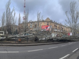 Ветер повалил штабелями тополя на Центральном проспекте (фото)