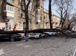 Дикий ураган в Одессе: сносит крыши и вырывает деревья. Погибла девушка