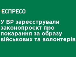 В ВР зарегистрировали законопроект о наказании за оскорбление военных и волонтеров