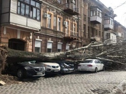 Ураган в Украине валит столбы и деревья, есть жертвы