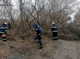 Ураганный ветер на Николаевщине повалил деревья и повредил мосты