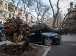 Украину накрыл разрушительный циклон: фото, видео