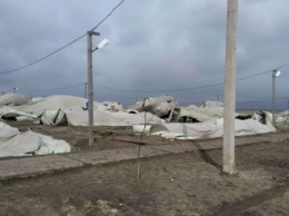 Под Николаевом ветер завалил палаточный городок военных