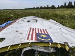 У следствия по делу MH17 есть свидетель запуска ракеты Бука по Boeing