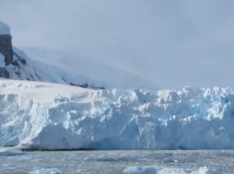 Ученые бьют тревогу: в Антарктиде выпал кровавый снег. Фото
