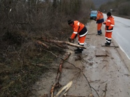 В Крыму ликвидируют последствия урагана