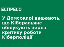 В Демсокире считают, что Киберальянс обыскивают из-за критики работы киберполиции