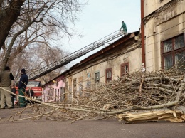 Мэр Одессы встретился с жителями дома, чьи квартиры пострадали от падения дерева