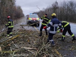 В Херсоне в результате непогоды на женщину упал карниз, пострадавшая в коме