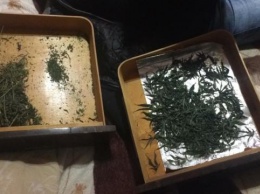 Крымчанин получил срок за выращивание наркотиков у себя дома