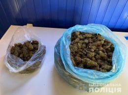 На Днепропетровщине у мужчины обнаружили наркотики на 180 тысяч гривен