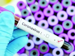 Нардеп Устинова заявила, что Украина собирается проводить тесты на коронавирус системами российского происхождения