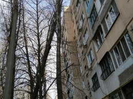 В Одессе жильцы многоквартирного дома ожидают когда рухнет сломанный тополь и окончательно разрушит их дом