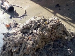 Что горожане умудряются в канализацию смыть, рассказали в Водоканале (фото)