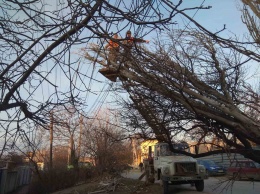 Симферопольские улицы расчищают от упавших деревьев и веток