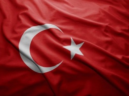 Турция депортировала 253 террористов в течение последний четырех месяцев