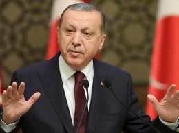 Эрдоган подтвердил гибель турецких военных в Сирии