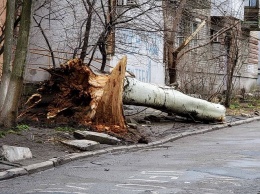 Шторм в Мариуполе: ветер вырывает с корнем деревья и сносит металлические конструкции,- ФОТО, ВИДЕО
