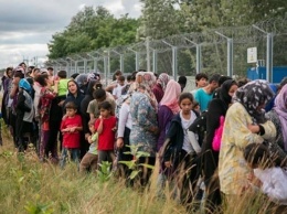 В ЕС отреагировали на "пропуск" Турцией беженцев