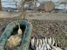 Под Днепром поймали рыболова-браконьера, - ФОТО