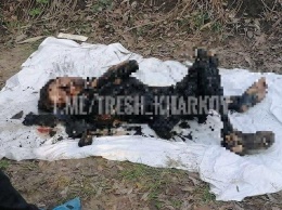 В Харькове нашли обгоревшее тело молодой женщины с крестиком "Спаси и сохрани". Фото 18+
