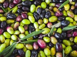 Еда с добавлением оливкового масла может защитить мозг от деменции