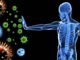 Ученые выяснили, как "включить" интерфероны, чтобы иммунная система противодействовала вирусам и раку