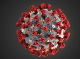 В Украине зарегистрировали первый случай коронавируса