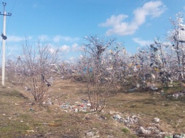 "Мусорный апокалипсис" на Николаевщине вызвали нарушения захоронения отходов на очаковском полигоне ТБО