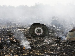 Армия Нидерландов готовилась секретно попасть в Украину сразу после крушения MH17 для защиты обломков - отчет