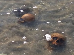 На Николаевщине морем вынесло черепа людей. Жуткое видео