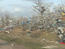 За «мусорный коллапс» в Очаковском районе директор свалки отделался предписанием