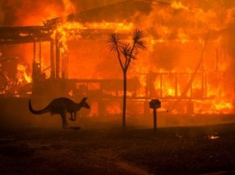 Изменение климата увеличило риск пожаров в Австралии как минимум на 30%