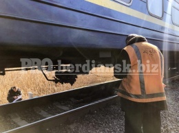 Возле тела лежали наушники: подробности гибели мужчины под поездом в Запорожской области