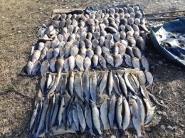 Пограничники Черниговщины задержали рыбаков-браконьеров