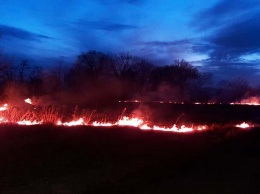 За сутки спасатели Днепропетровщины 65 раз тушили пожары в экосистемах
