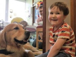 Этот пес сделал для умирающего ребенка то, что не могли врачи - душераздирающая история возвращения к жизни