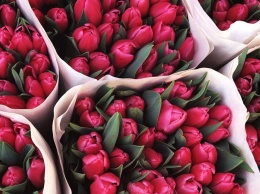 Букет к 8 марта: где в Днепре работают цветочные рынки