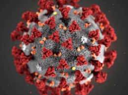 Ученые предложили геймерам помочь в борьбе с коронавирусом через видеоигру