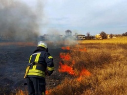 За сутки в нашей области возникло 60 пожаров в экосистемах