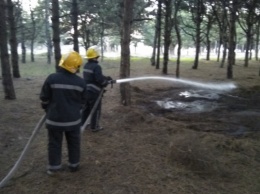 Вчера на открытых территориях Херсонщины ликвидировано 8 пожаров