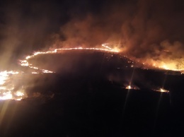 8 гектаров выжженной земли: под Харьковом потушили крупный пожар (фото)