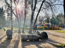 В Запорожье полиция открыли уголовное дело по факту гибели девочки в "Дубовой роще"