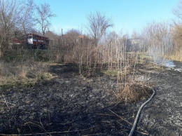 В Запорожской области стало больше пожаров на природе