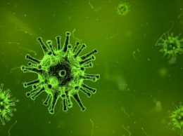 Еврейская община Днепра вводит особые меры из-за коронавируса
