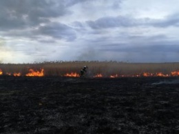 С начала года на Днепропетровщине произошло более 600 пожаров в экосистемах