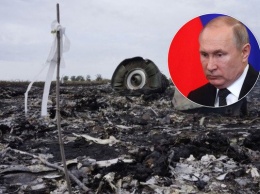 Адвокат семей жертв МН17 заявил, что завести ''Бук'' в Украину разрешил Путин